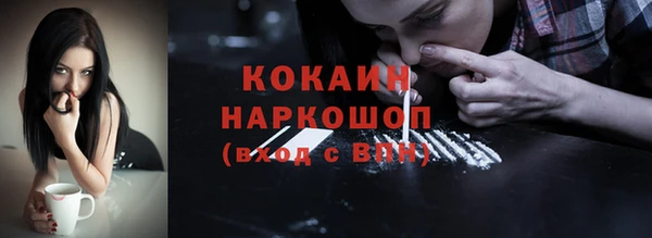 скорость Гусев
