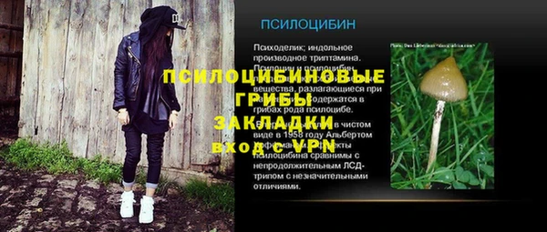 крисы Гусиноозёрск