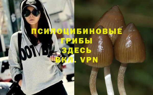 крисы Гусиноозёрск